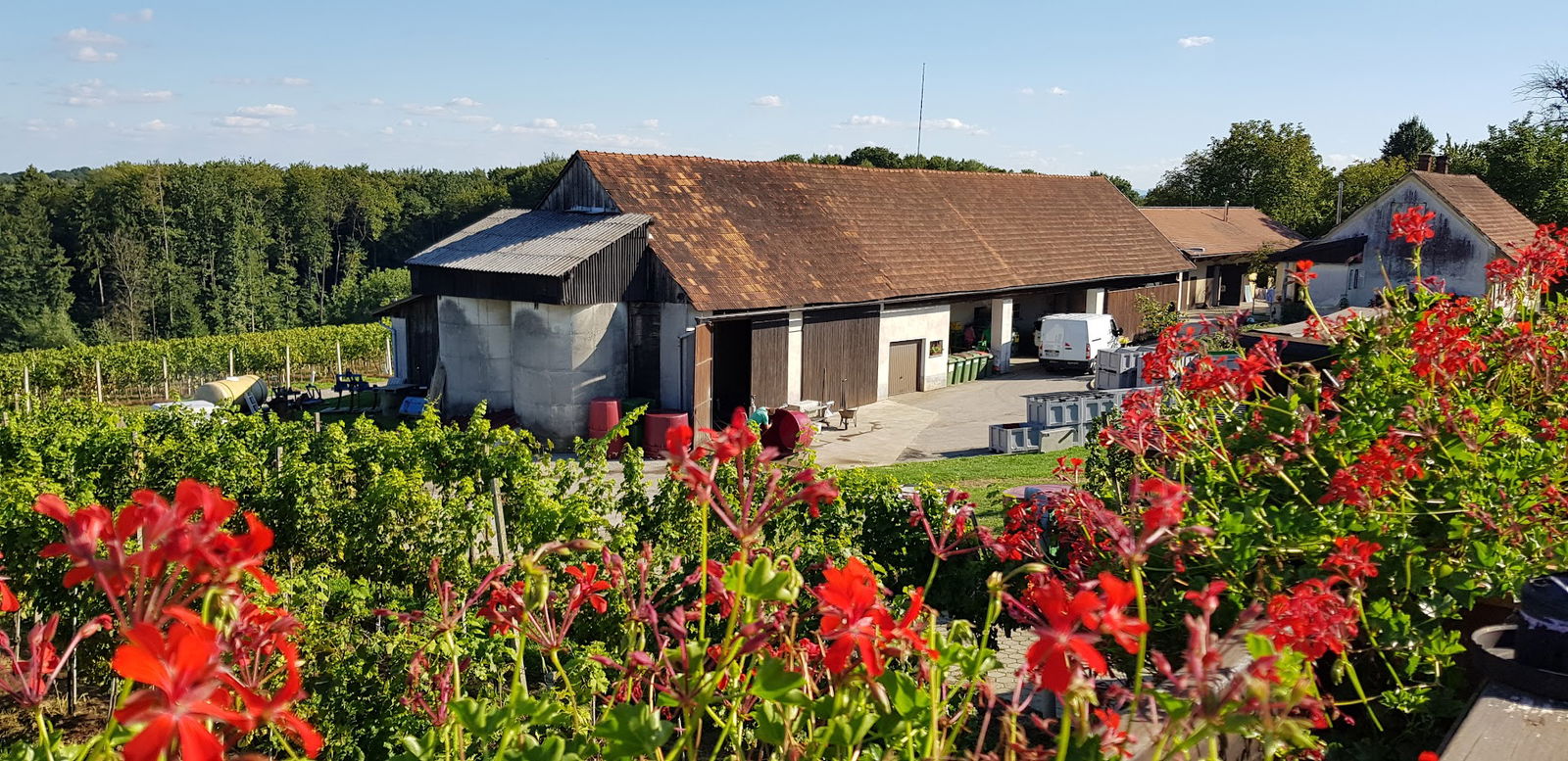 Vinogradniško - Trgovsko podjetje vinar Kupljen d.o.o.