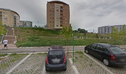 Pukovnika Petra Mišića