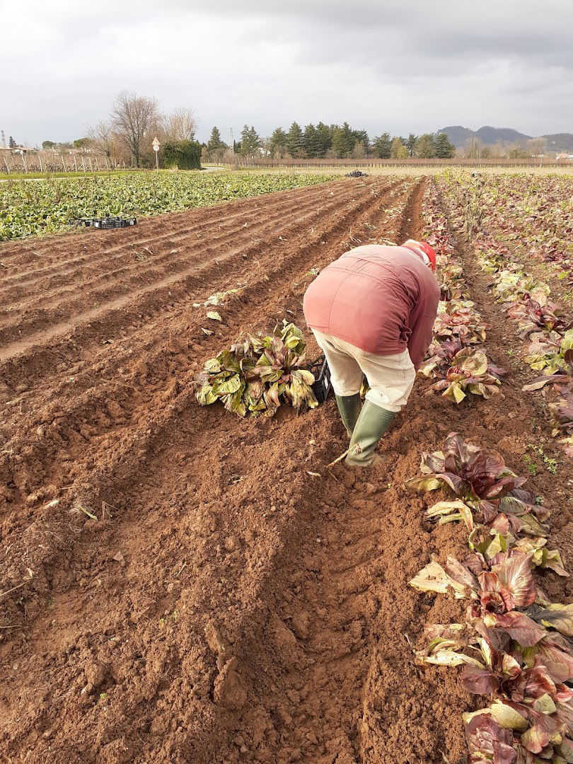 Az.Agricola Blasizza di Bladizza Paolo