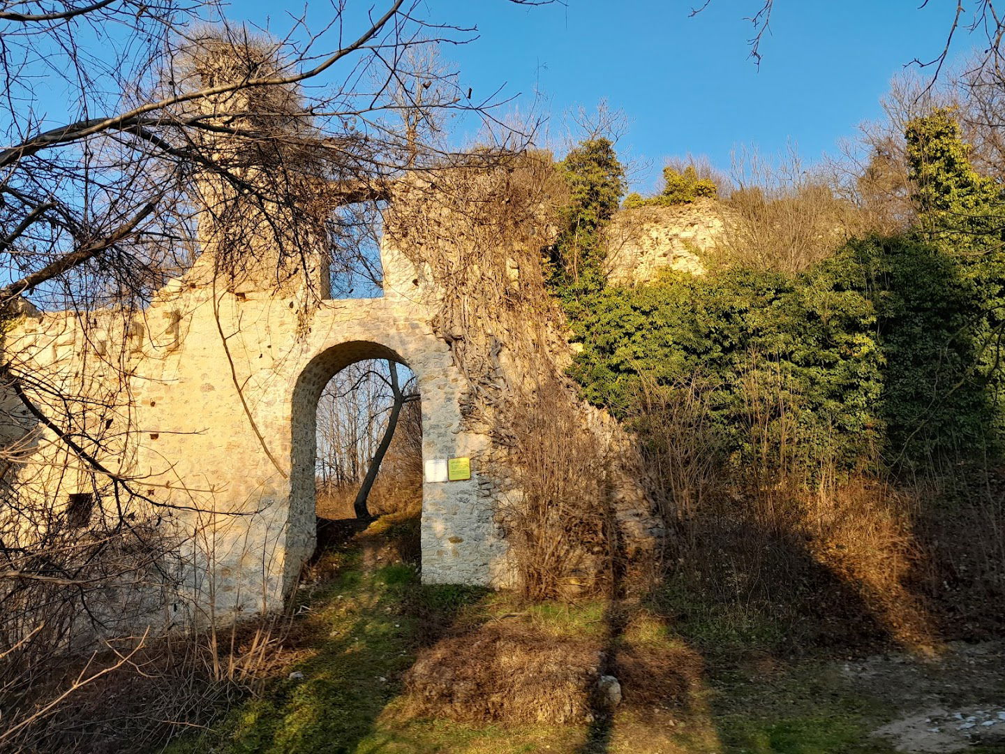 Stari grada Vinica (ruševina)