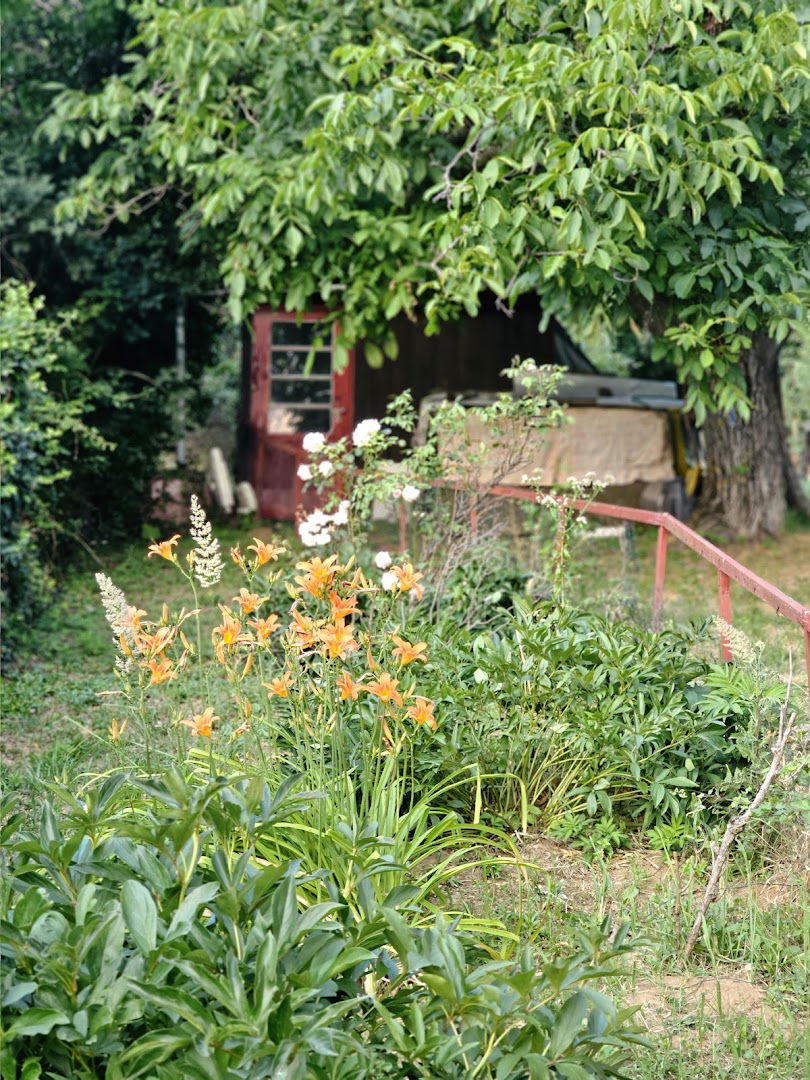 STR ''CENTAR PROMET MINA''