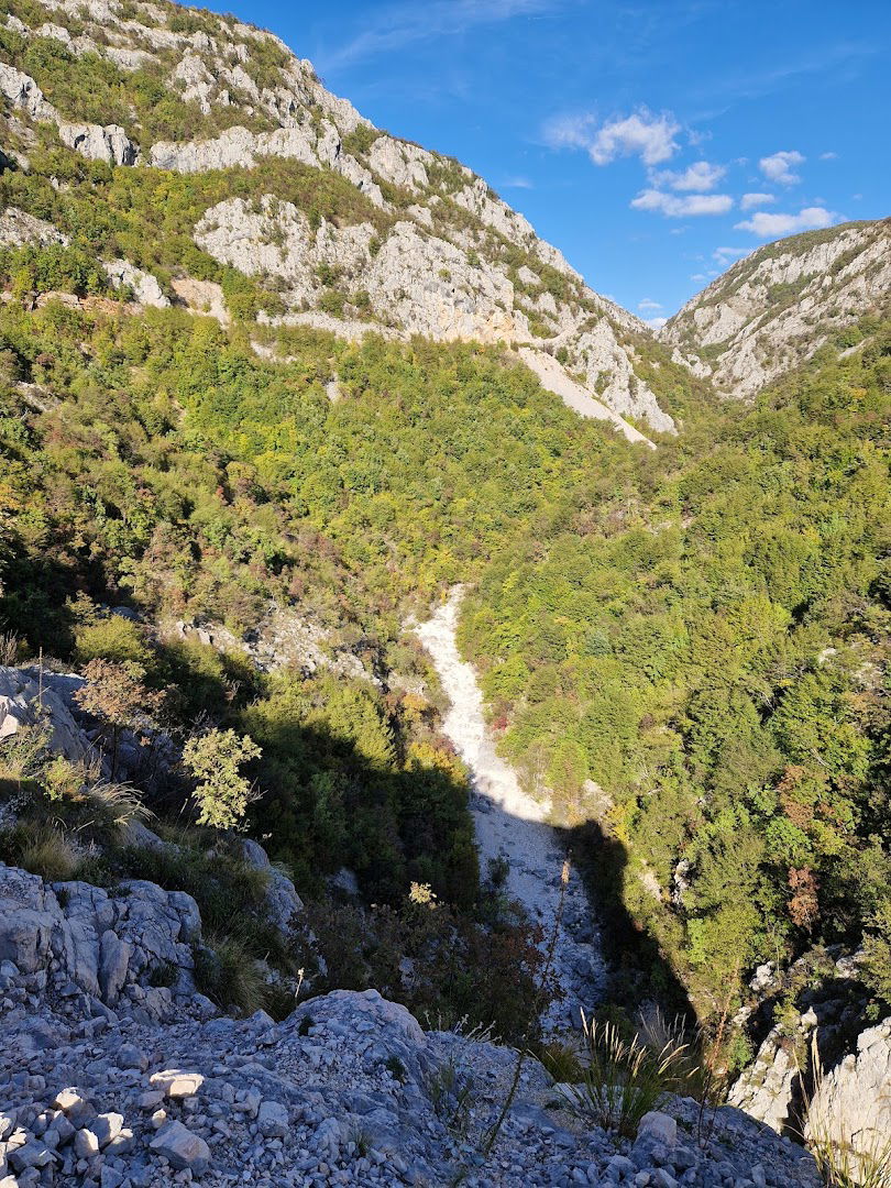 KANJON RIČINE - BRINA