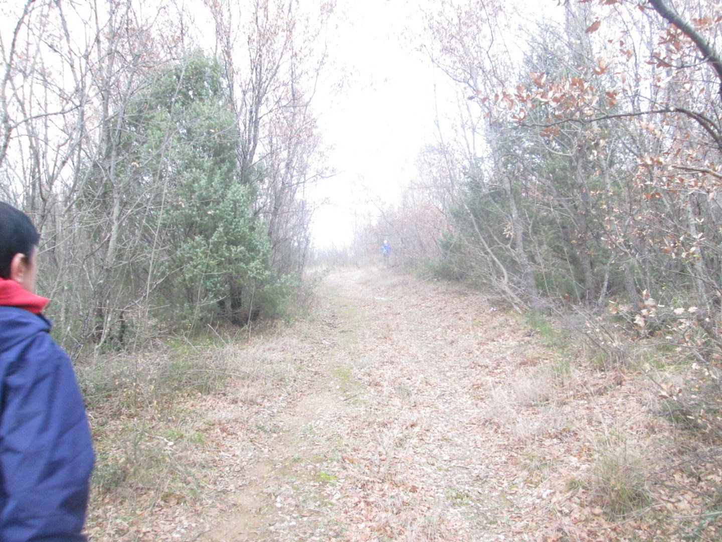 Stari konjski put Gorica-Ošanjići