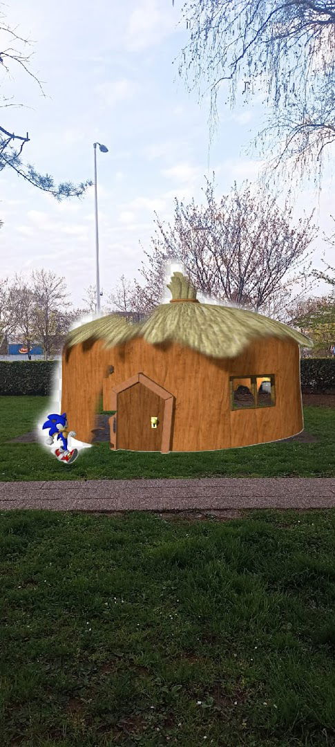 Sonic House