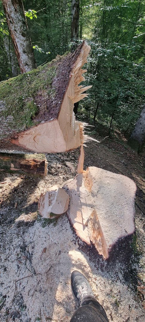 Strojne usluge Tomaž Žagar s.p.