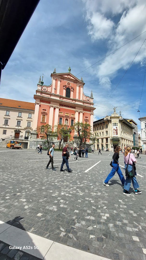 Frančiškanski družinski inštitut