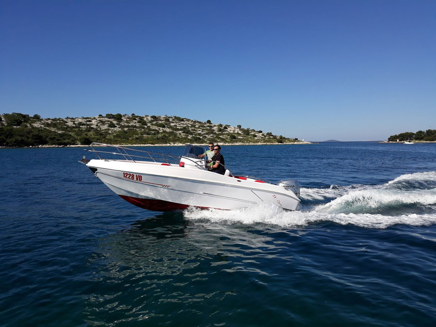 Sea Life - Rent A Boat