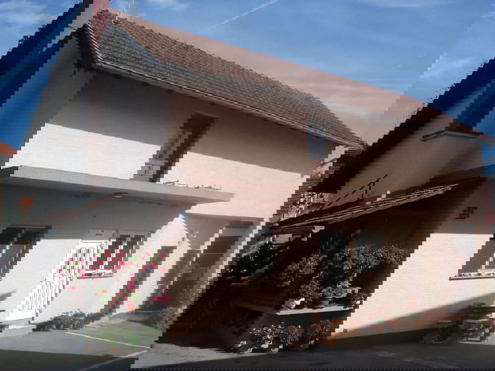 Apartman i sobe Pavek