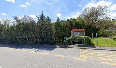 Nova vas pri Mokricah