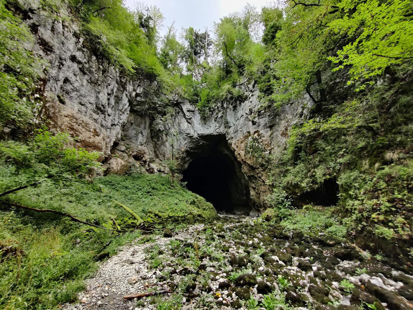 Weaver Cave
