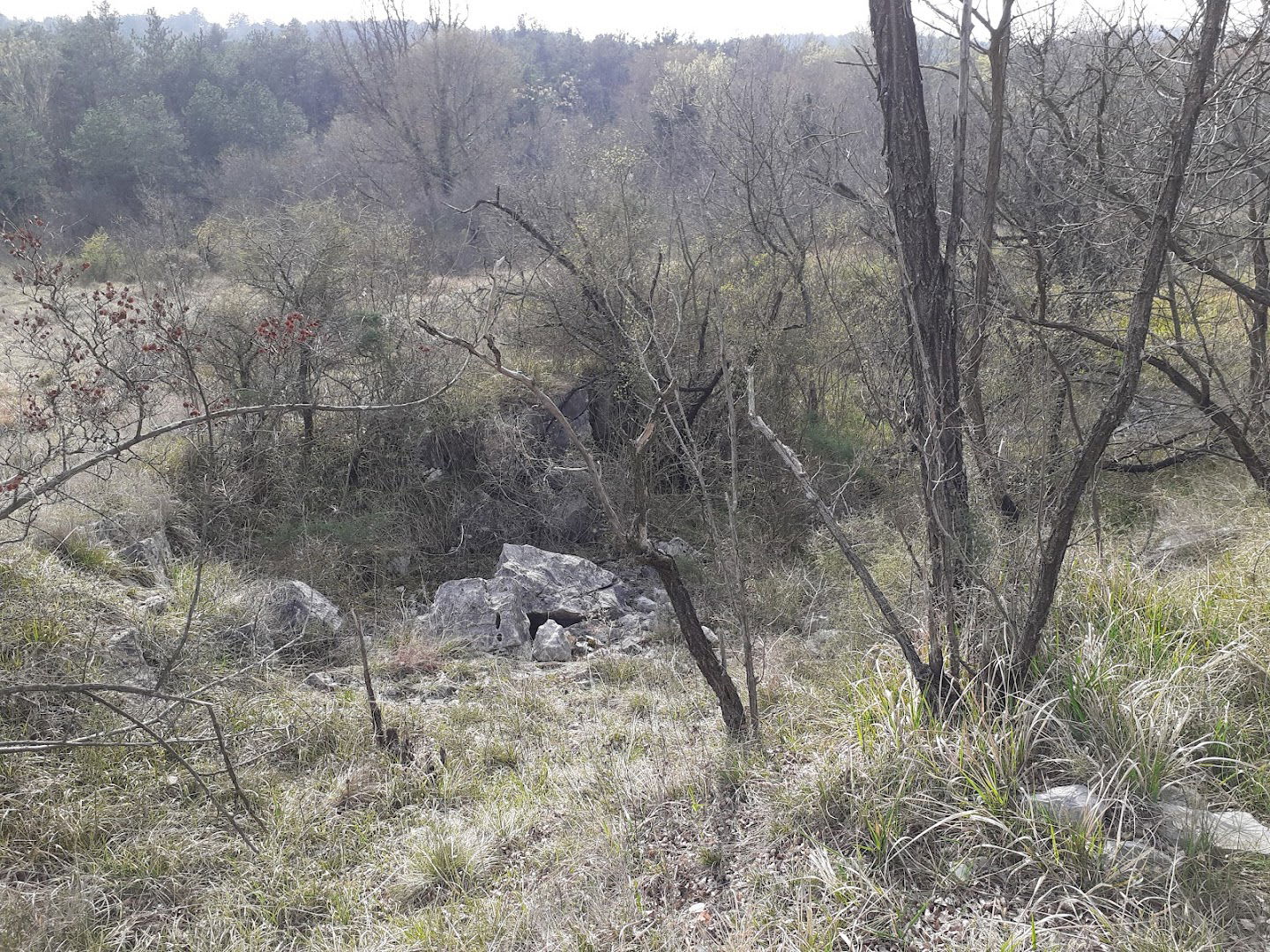 Centro Visite Lago di Pietrarossa