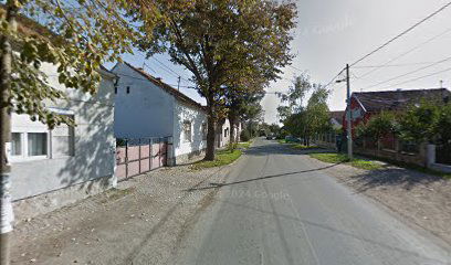 PIN LOGISTIKA DOO BATAJNICA, SAVE GRKINIĆA 3