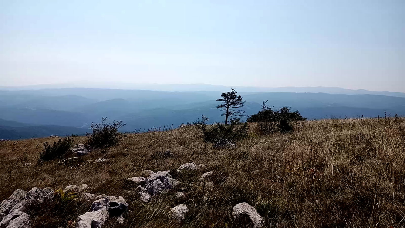 Vremščica - vrh in pobočje