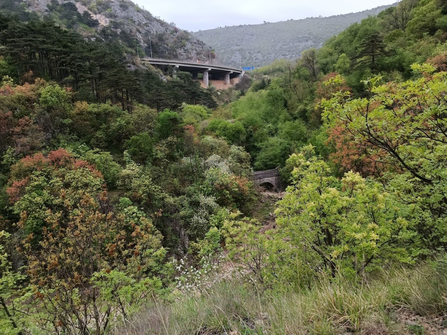 Mostić iznad Draškog potoka