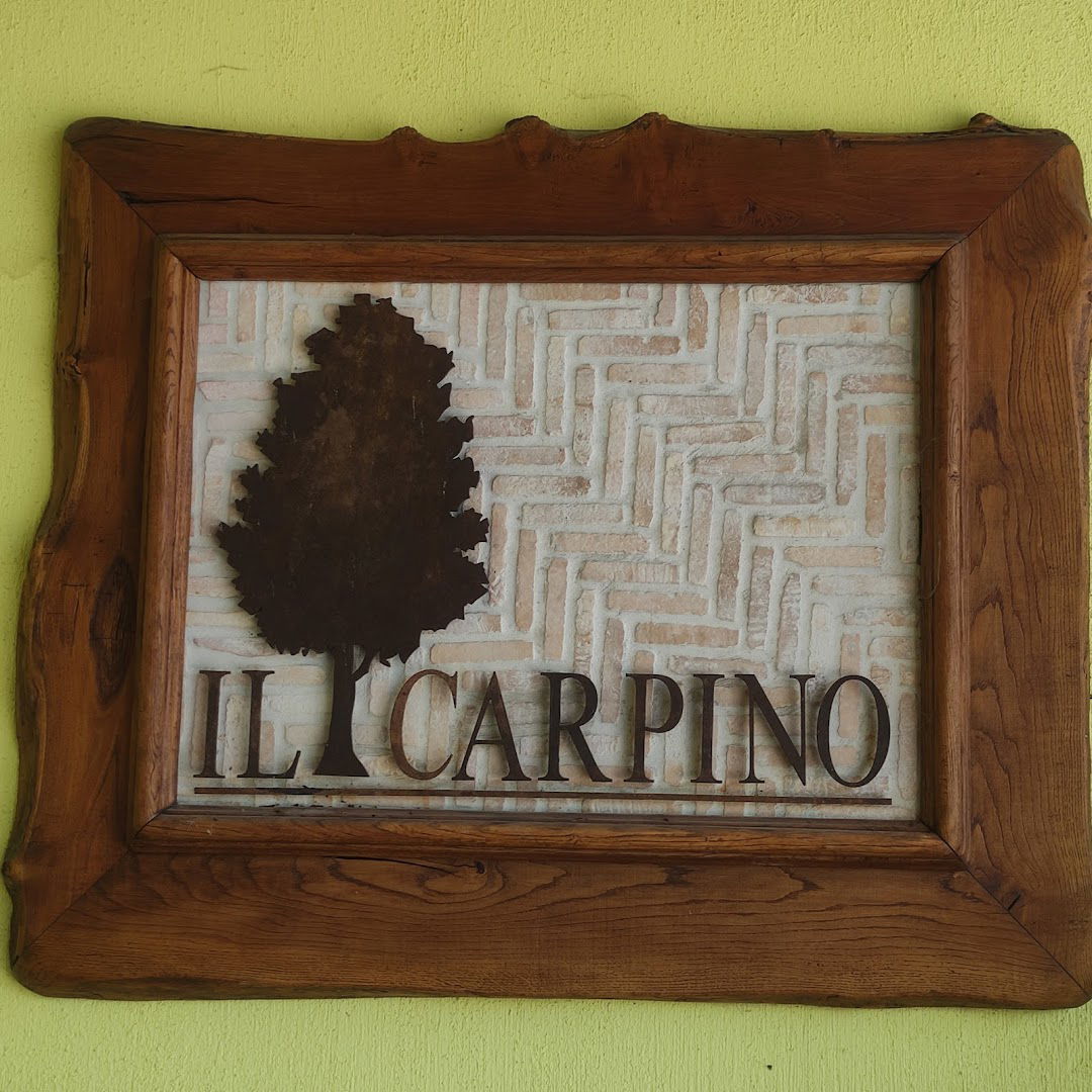 Azienda Agricola Il Carpino
