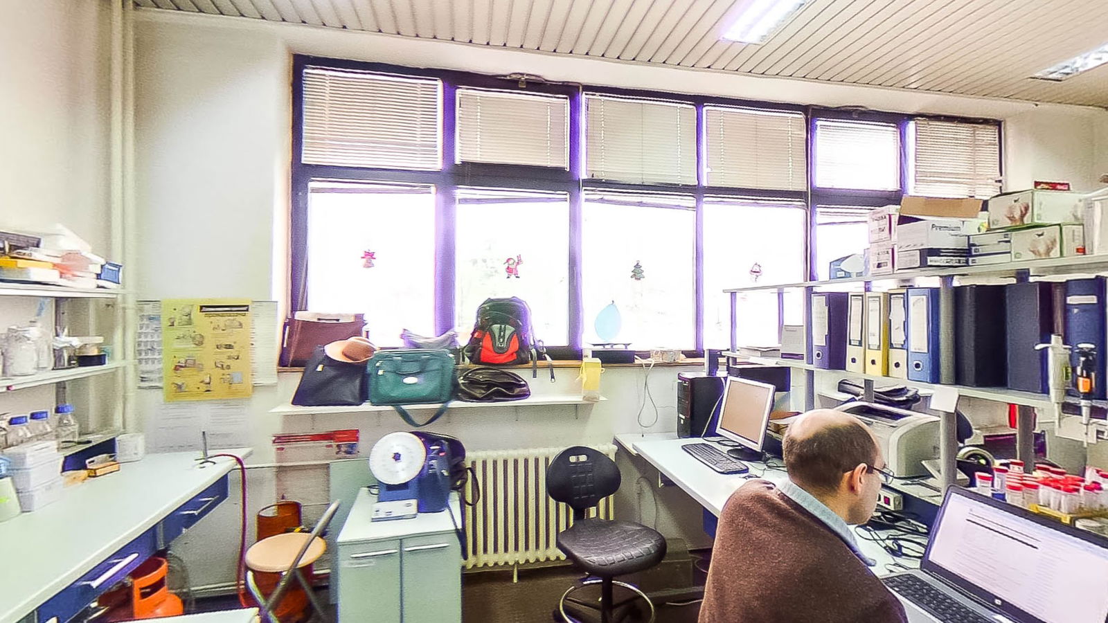 Institute of Molecular Genetics and Genetic Engineering