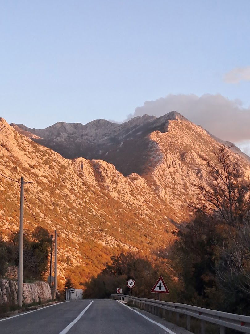 Biokovo- biokovso zvonce