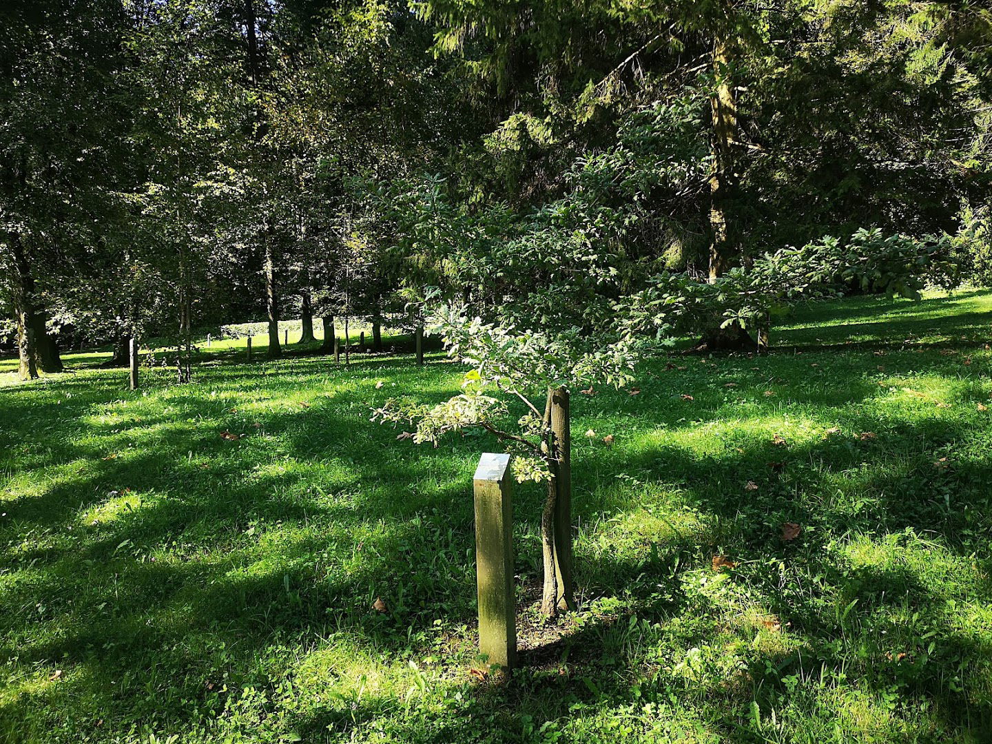 Mednarodni fenološki park