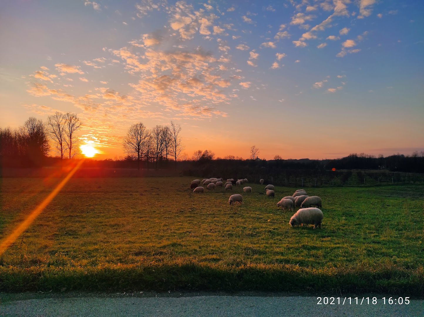 OPG Marija Borić - Borićka