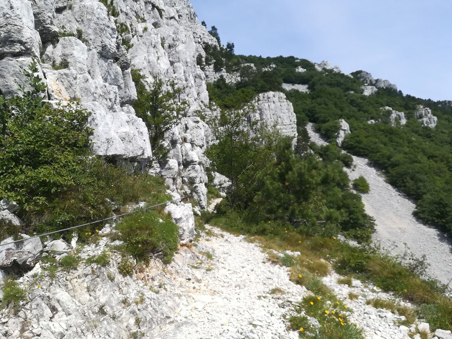 Srednječavenska pot