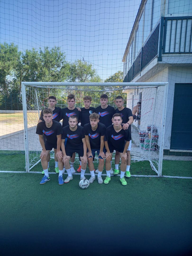 Dalmatinac Football Yard