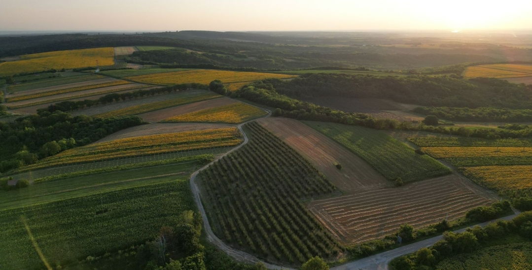 Vinarija “Vulinović”