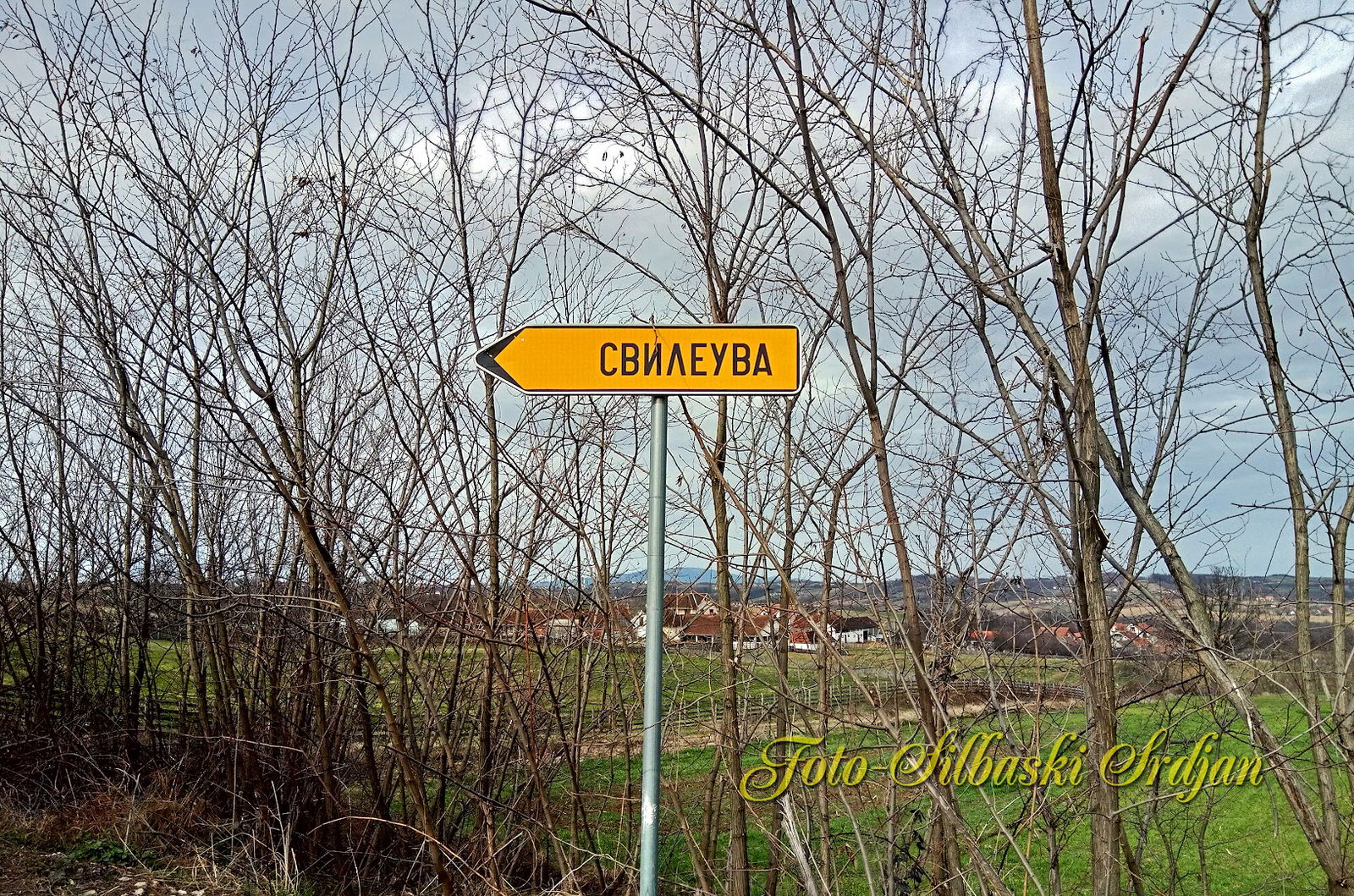 СЗР за производњу ракије Војвода, Ракија Војвода