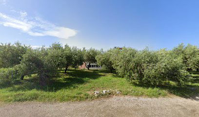 Filip Informatics Ltd.