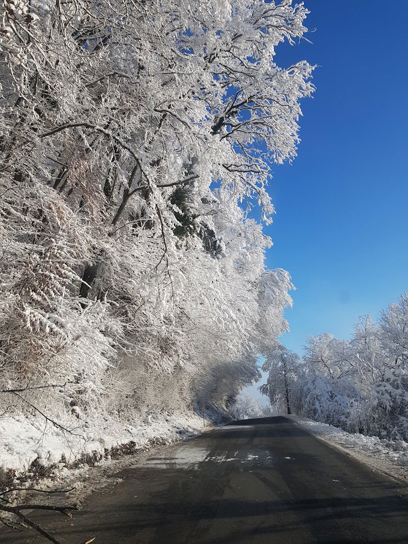 Pošta 8295 Tržišče