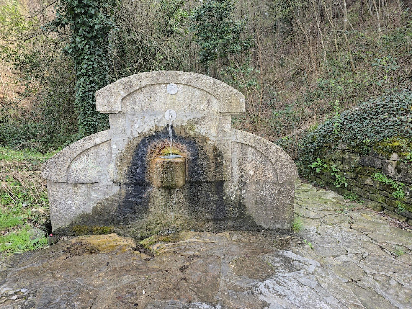 Drinking water - spring