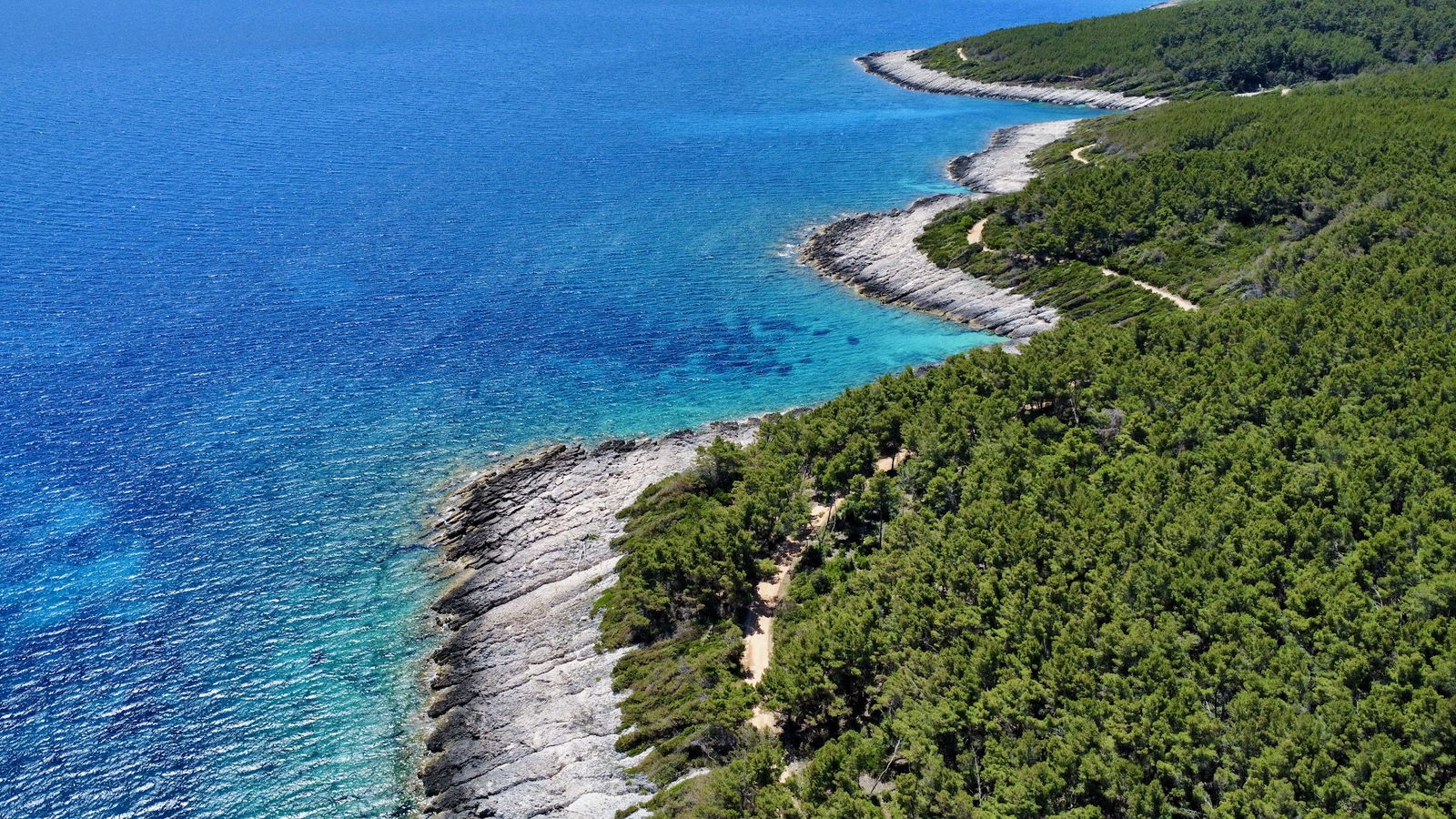 Apartment Zavalatica IV