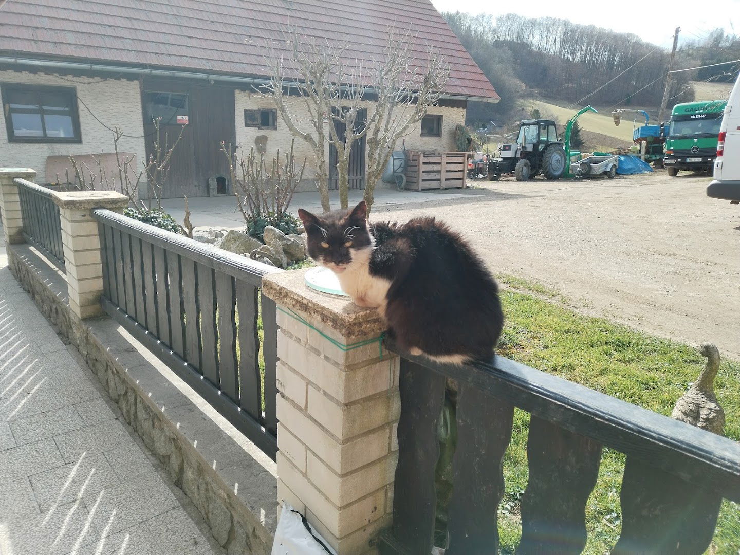 Popravila, prodaja, posredništvo za Traktorje in kmetijske stroje, Branko Galunič s.p.