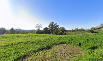 AUTOLIMARSKI OBRT, MATE MOGUŠ, MREŽ. NOVAKI 10.