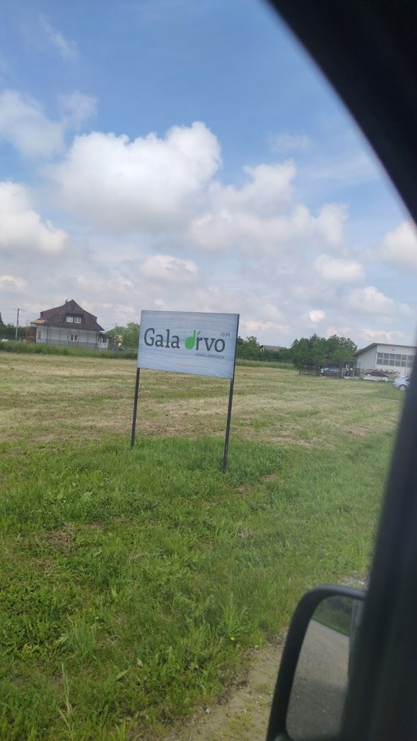 GALA DRVO