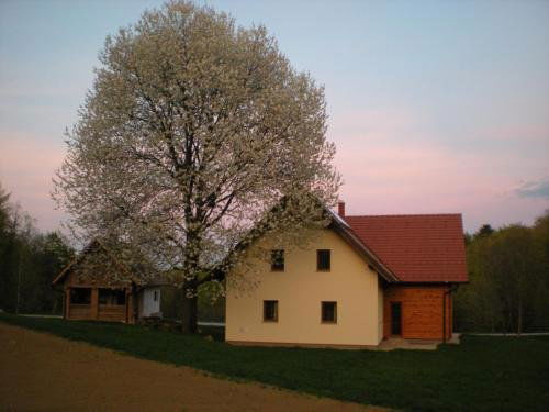 Tourist Farm Rajšp