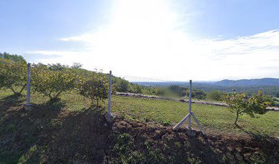 Trgostil (Trgovina Krk d. d.)