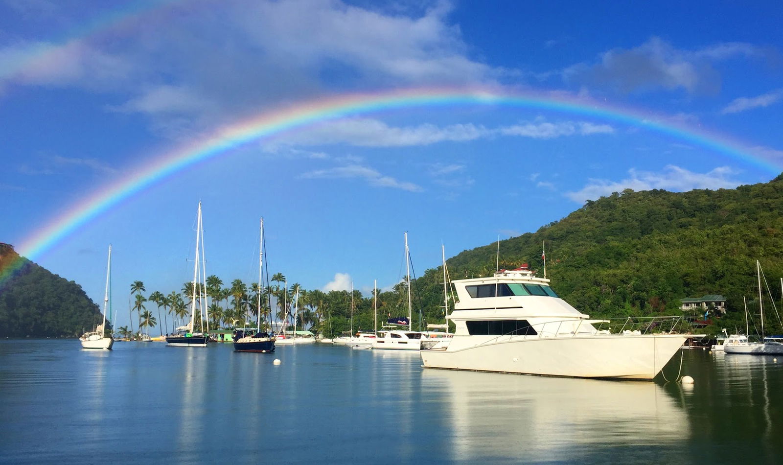 Lone Palm Yacht Charters