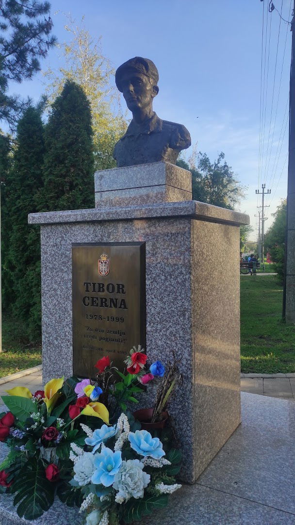 Споменик Тибору Церни хероју са Кошара