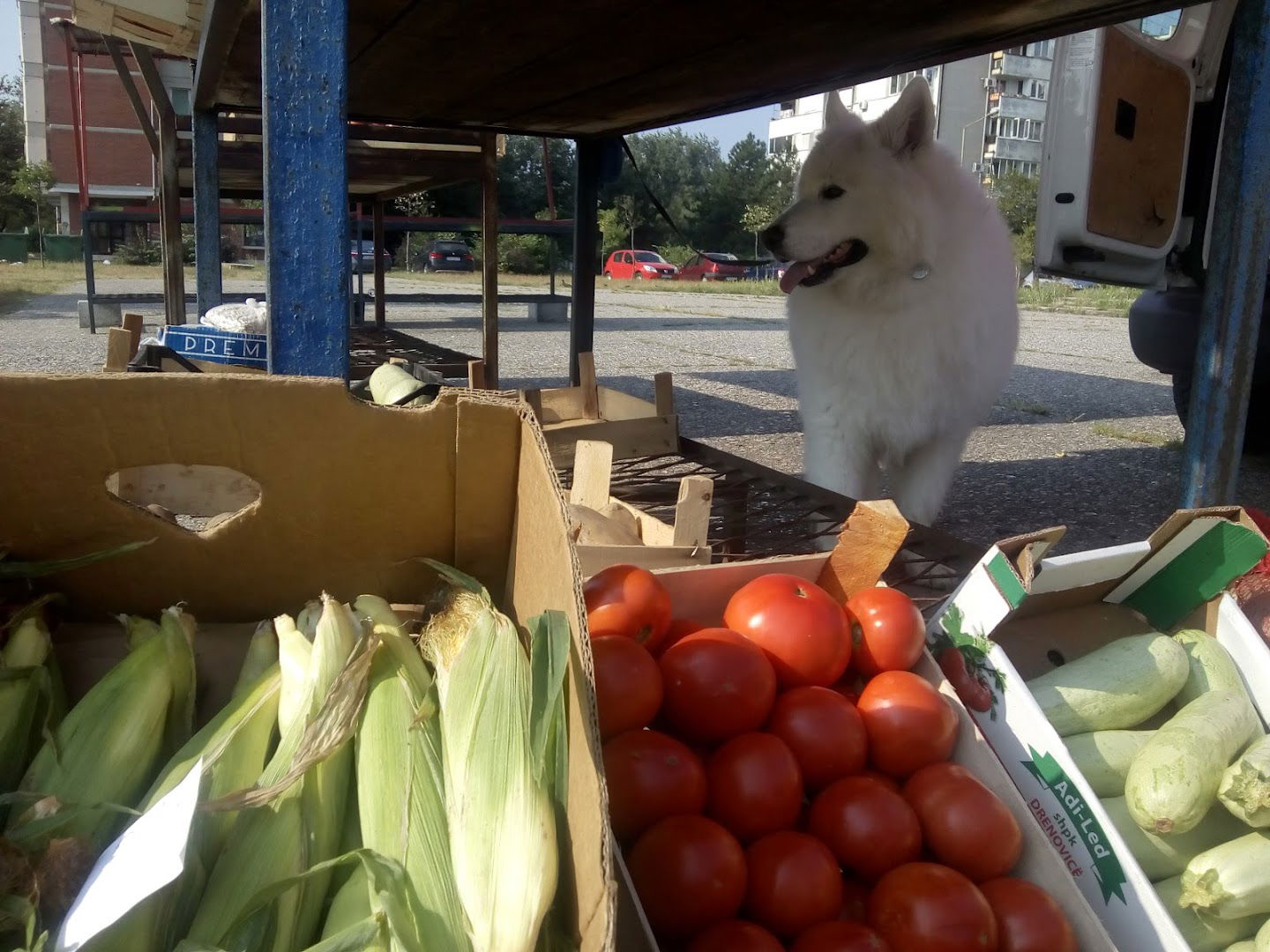 Small Market at Sodari