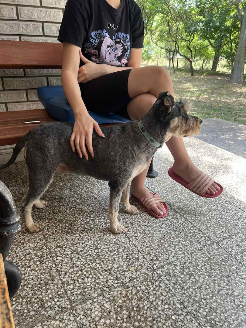 Pansion za pse Selters