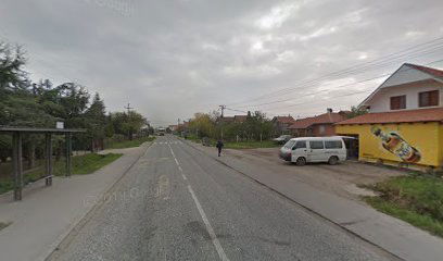 Branislava Cige Jerinića