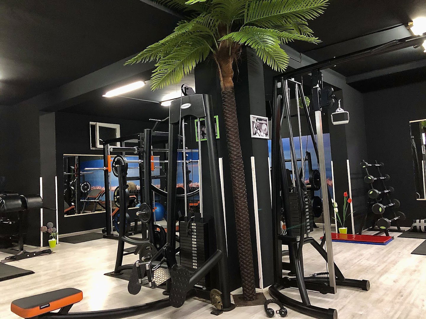 Fitnes akademija Zemun