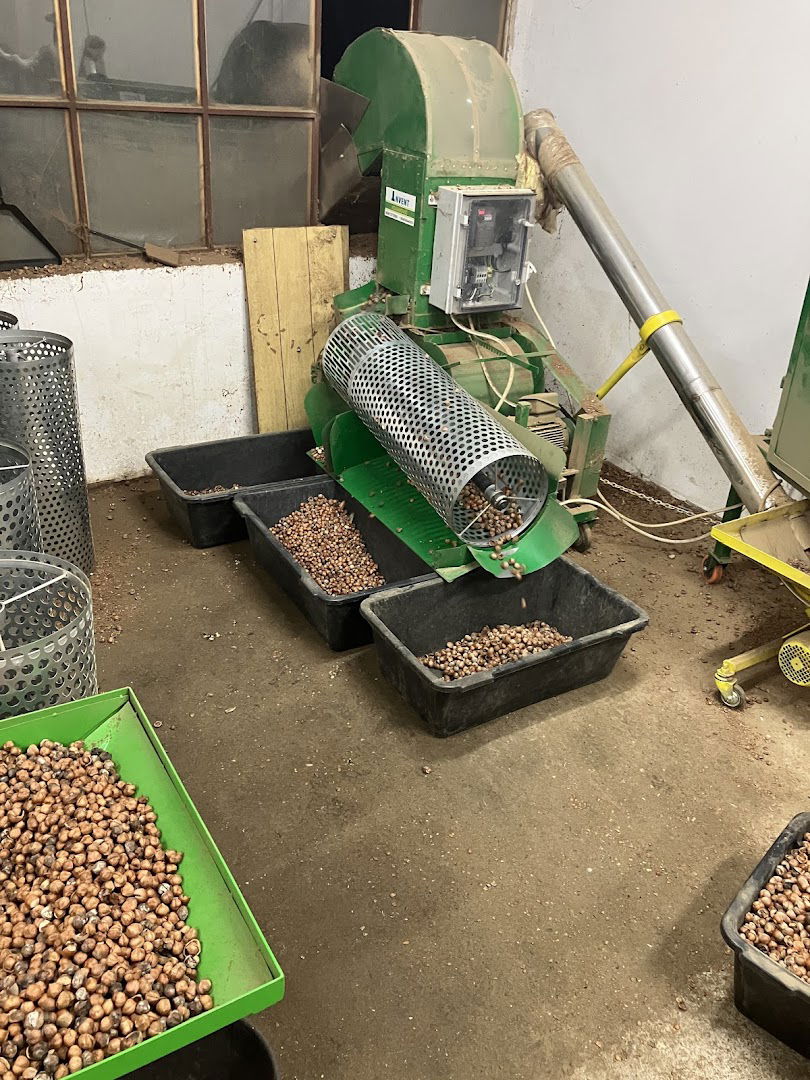 Lesnik sistem krckanje lesnika