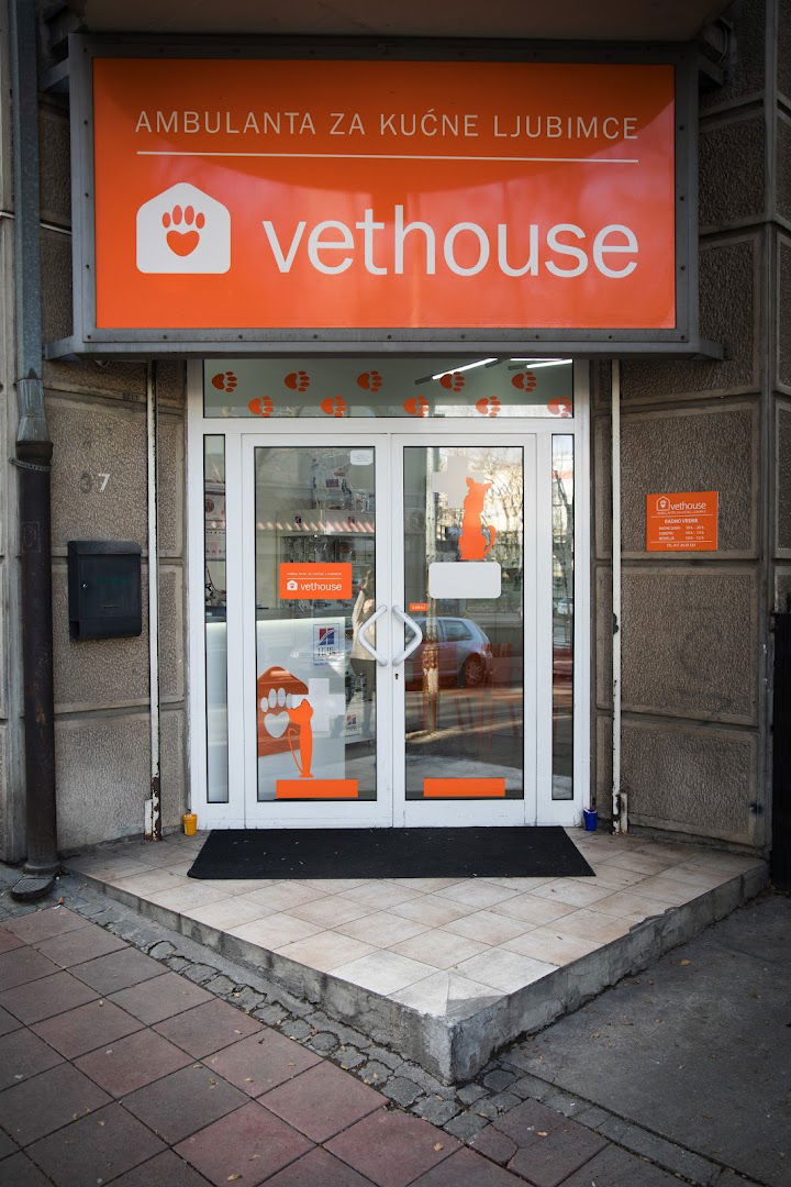 Vet House Dorcol - Cara Urosa 37