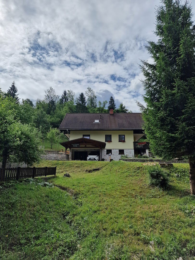 Aparthouse Bohinj