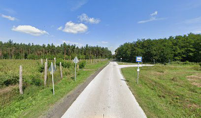 Drávatamási elágazás