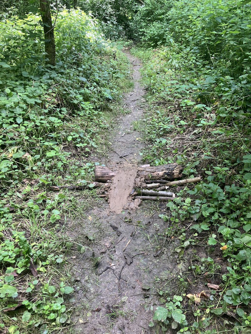 MTB TRAIL DIRTJUMPING