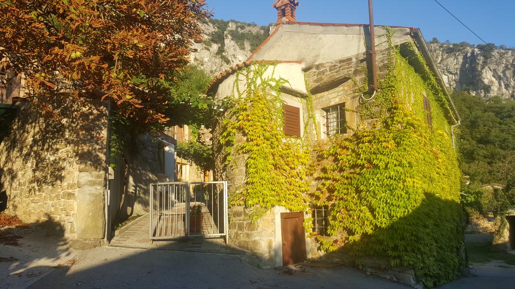 Apartment Under the rock Osp