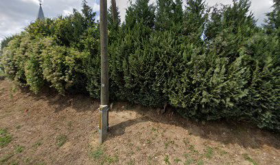 Stara Marča cemetery