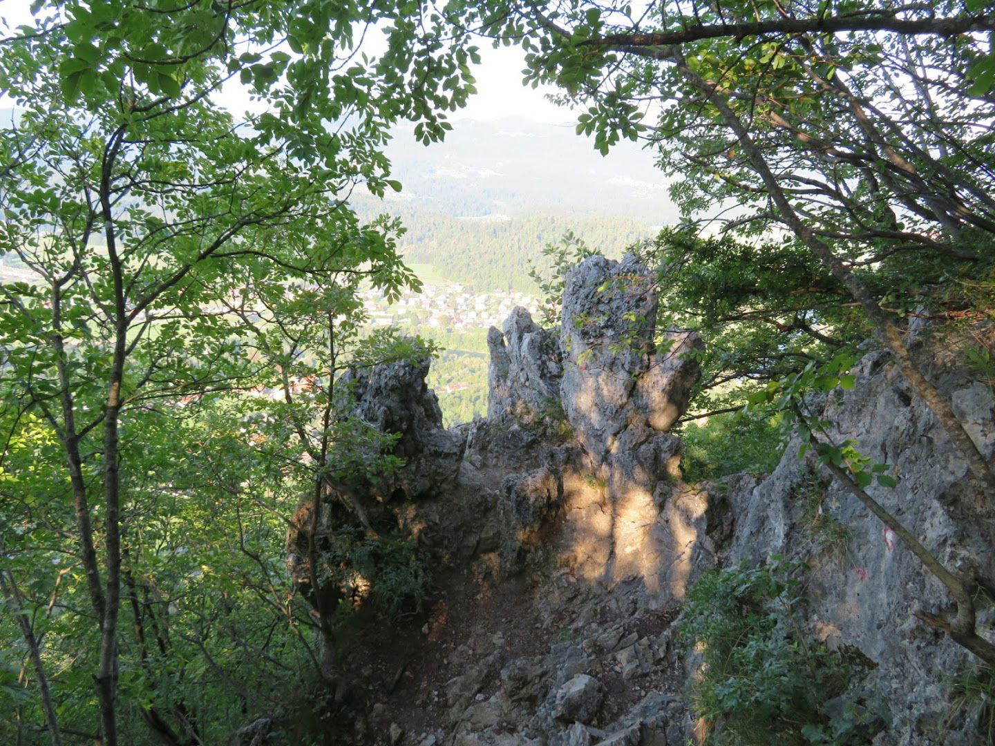 Boron posek in spravilo lesa Blaž Mihovec s.p.